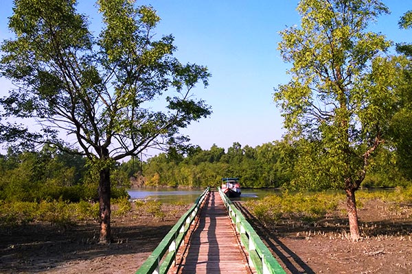  A long walkway though a beautiful patch of mostly Keora forest was build in the Hiron Point wildlife Sanctuary recently